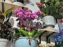 -FEI FEI FLOWER鲜花店·气球派对·宝宝宴布置(虹口德必运动Loft店)