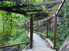 -大岭沟猕猴桃谷风景区