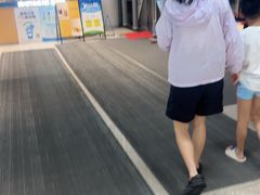 -莲花体育中心