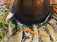 -伊帆食府·青海地方特色美食