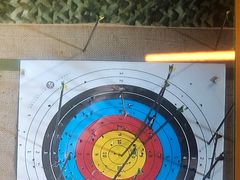 -莱茵体育生活馆