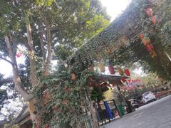 -南宁良凤江国家森林公园