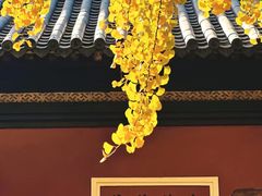-长春观