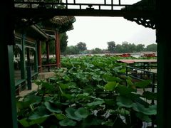 -小王府(什刹海店)