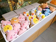 -KAKAO FRIENDS(弘大店)