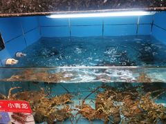 -王庄阿咪海鲜大排档(象园店)