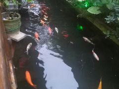 -优之名鹅城