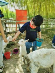 -上美四季动物农场