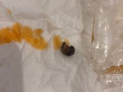 -秦镇史玉林凉皮(翡丽城店)