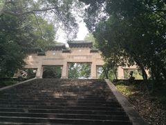 -灵谷景区