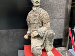 -秦始皇帝陵博物院(兵马俑)