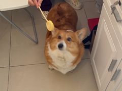 -美联众合24小时·皮肤科·外科·全科诊疗中心(华苑分院)