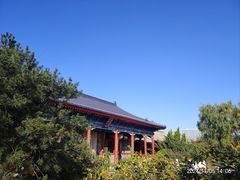 -有喜胶东小馆(太申祥和店)