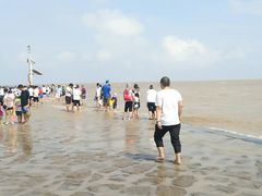 -南汇嘴观海公园