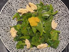 -梧桐树下(云锦世家店)