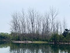 -溱湖国家湿地公园