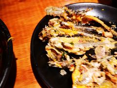 -三道苗苗鱼·美蛙黄辣丁(八里店)