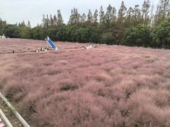 -嘉北郊野公园