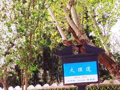 -天津五大道文化旅游区