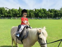 -平湖九龙山庄园圣马可酒店