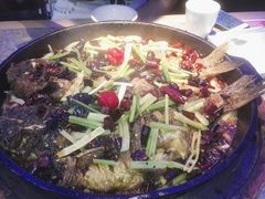 -老板恋上鱼(恒隆广场店)