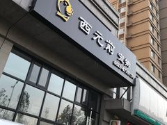 -西元前宠物酒店(郑庄府邸店)