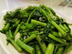 炒空心菜-澳门陈光记烧味饭店(郎家园店)