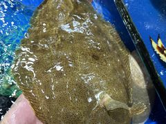 -广东嘉华大酒店·季花铁板烧餐厅