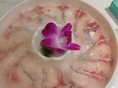 -脆鱼家·中山脆肉鲩鱼火锅(石龙仔店)