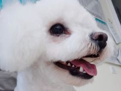 -美联众合动物医院·24h京西诊疗中心