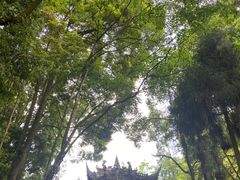 -青城山