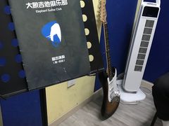 -大象音乐·吉他·架子鼓·声乐(双井店)