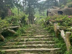-木兰云雾山