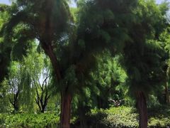 -城市运动公园(未央区)