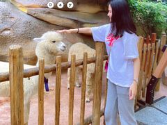 -杭州开元森泊度假乐园