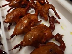 -鸽子窝(青塔店)