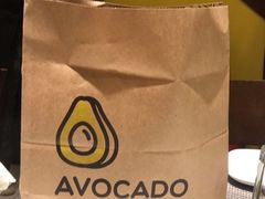 -油梨树AVOCADO TREE(顺义新国展店)