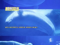 -海合安武汉极地海洋公园