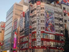 -秋叶原电器街