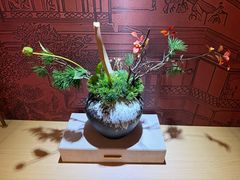 -双湖园·地标武汉菜(黄鹤楼解放路店)