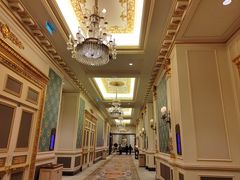 -澳门威尼斯人综合度假区