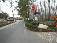 -合肥滨湖国家森林公园