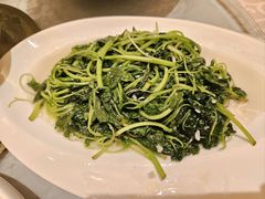 -锦江都城闵行饭店