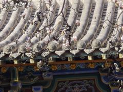 -碑林公园