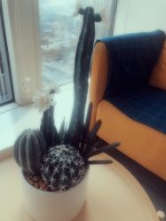 -净漪造型 PURE RIPPLE