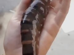-協成海鮮火鍋(老店)