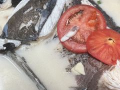 -全乐鱼馆·淳牌有机鱼直营店