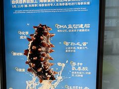 -海泰食府·新鲁菜·家宴(总部基地店)