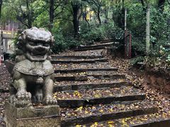-雨花胜境