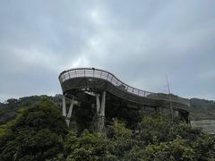 -福道